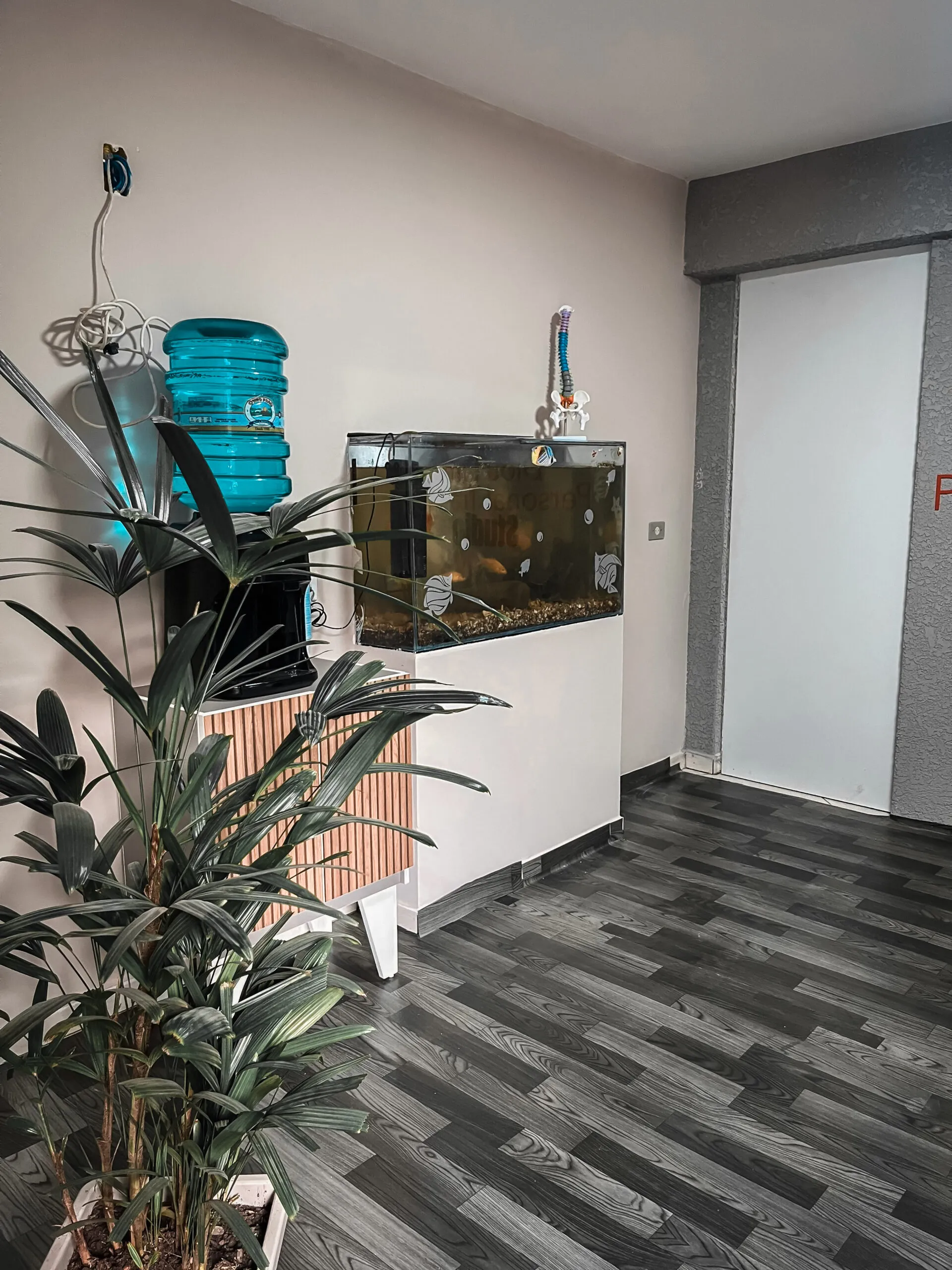 WhatsApp Image 2025-05-08 at 18 (5)